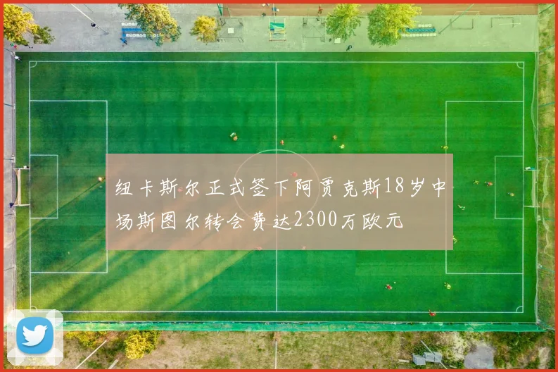 纽卡斯尔正式签下阿贾克斯18岁中场斯图尔转会费达2300万欧元