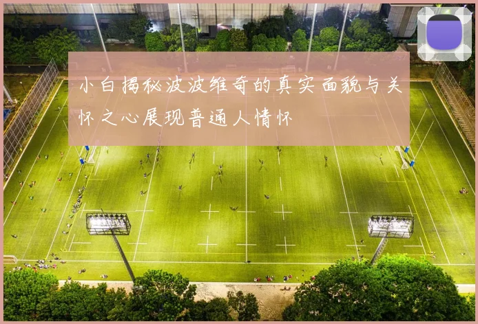 小白揭秘波波维奇的真实面貌与关怀之心展现普通人情怀